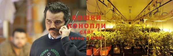 сатива Алексин