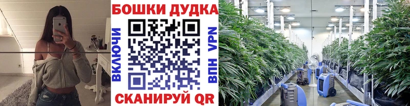 Конопля White Widow Глазов